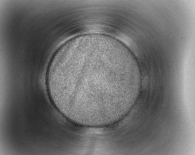 X0000088461086200706051320