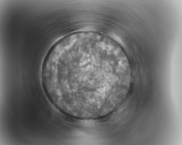 X0000088461087200706051320