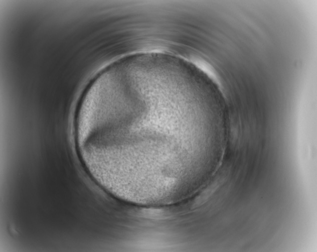 X0000088461088200706051320