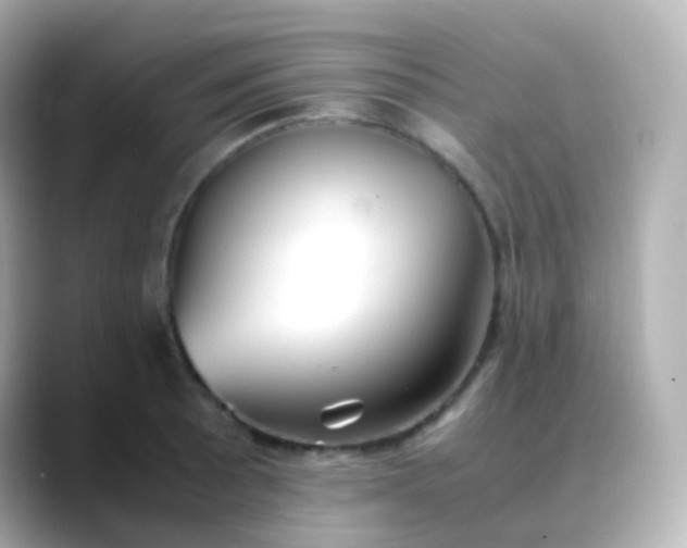 X0000088461089200706051320