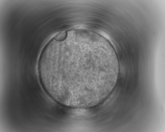 X0000088461090200706051320