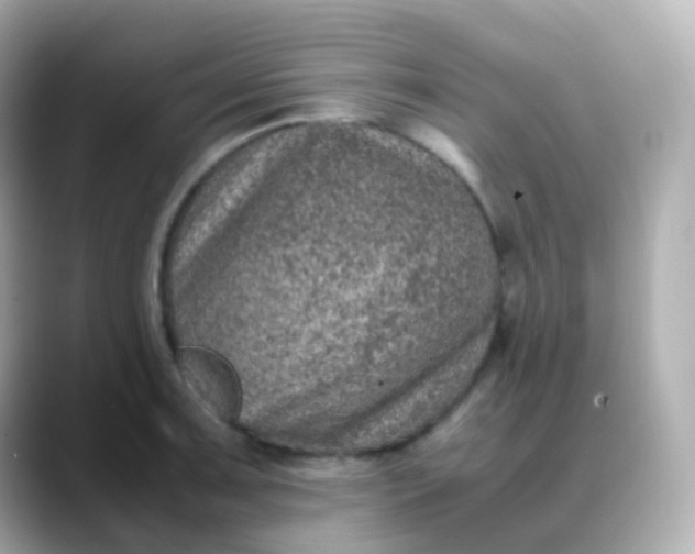 X0000088461091200706051320