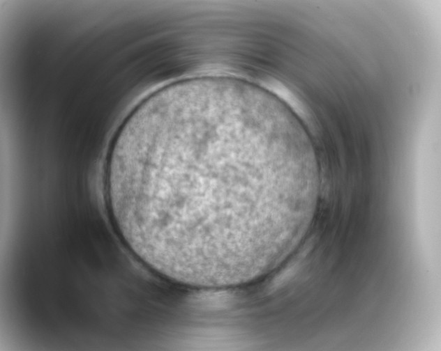 X0000088461094200706051320