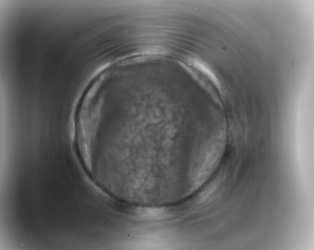 X0000088461095200706051320