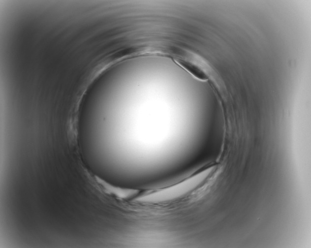 X0000088461097200706051320