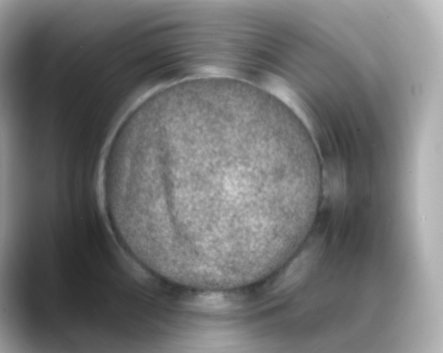 X0000088461098200706051320