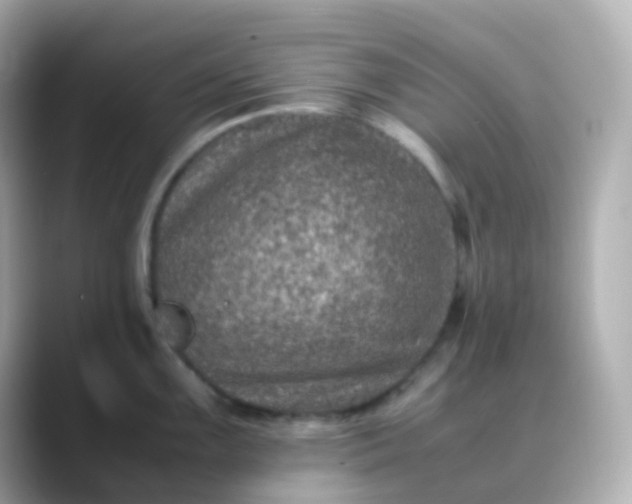 X0000088461099200706051320