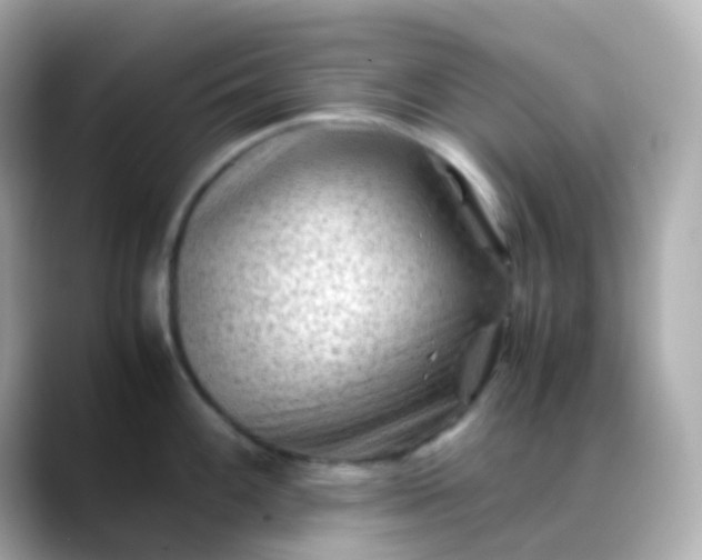 X0000088461100200706051320