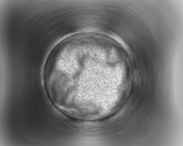 X0000088461102200706051320