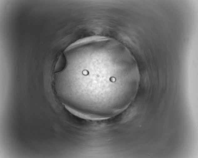 X0000088461105200706051319