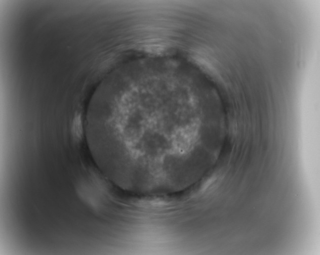 X0000088461106200706051319