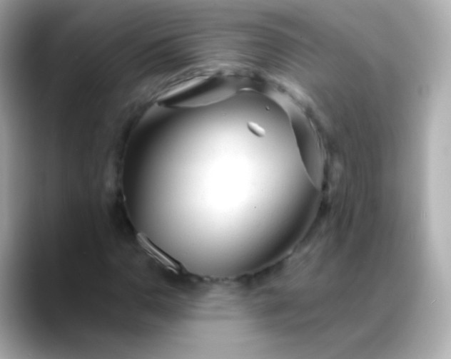 X0000088461110200706051319