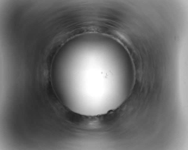 X0000088461111200706051319