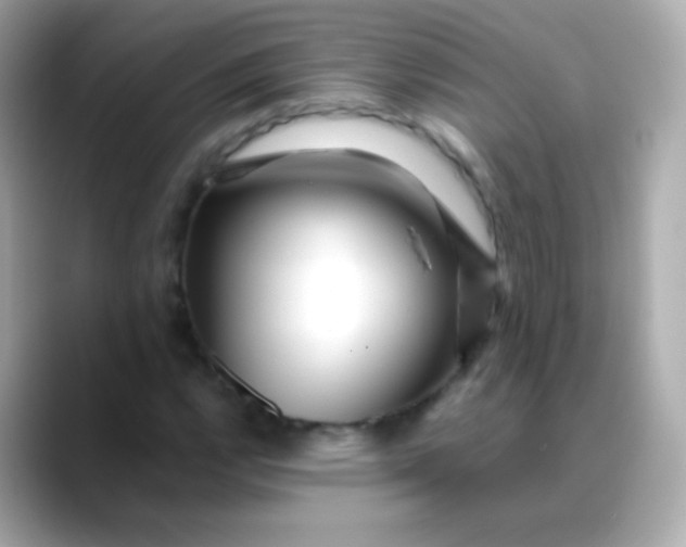 X0000088461112200706051319