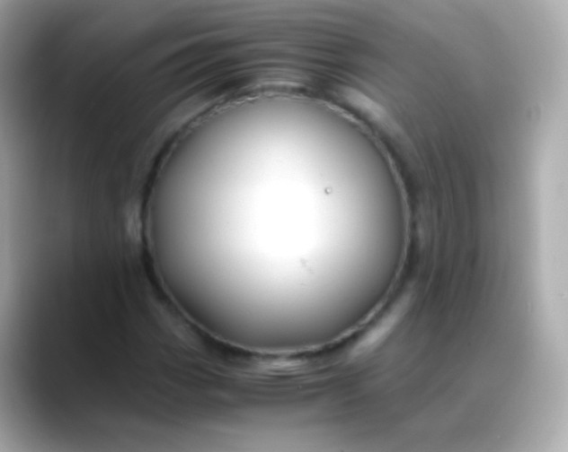 X0000088461113200706051319