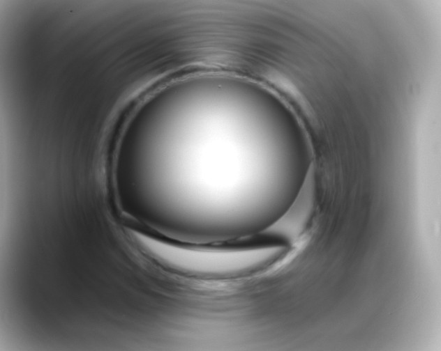 X0000088461114200706051319