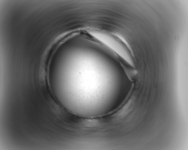 X0000088461115200706051319