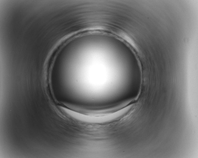 X0000088461116200706051319