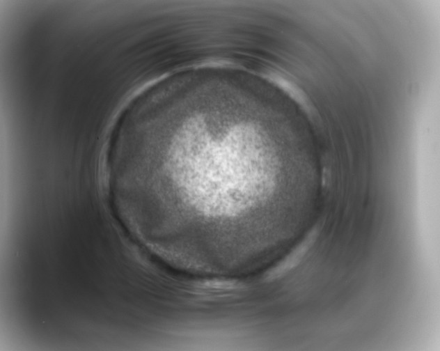 X0000088461117200706051319