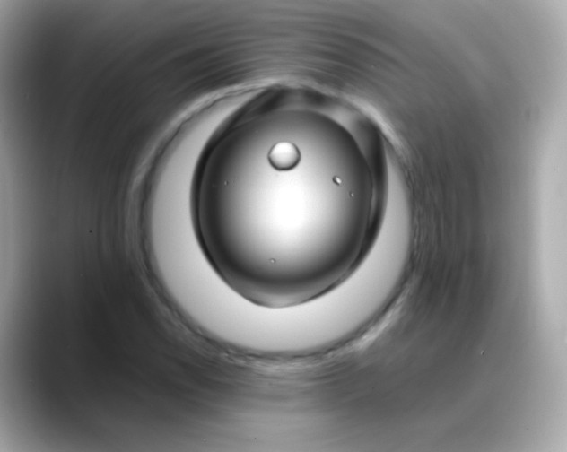 X0000088461118200706051319