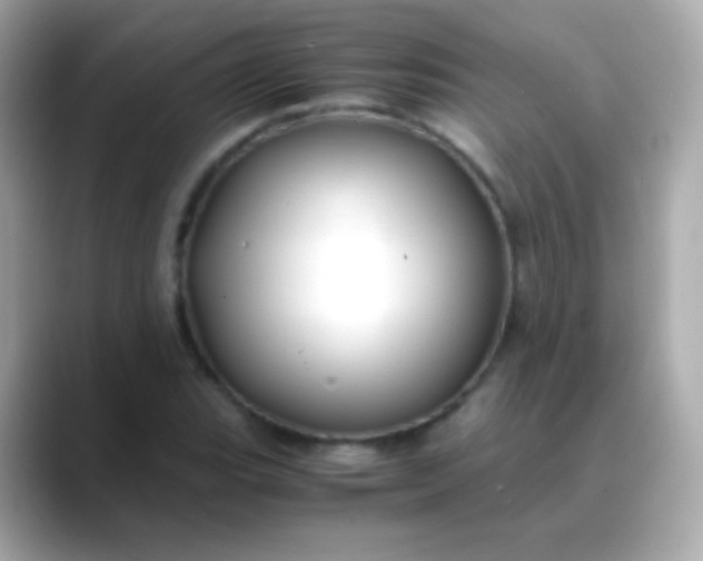 X0000088461119200706051319