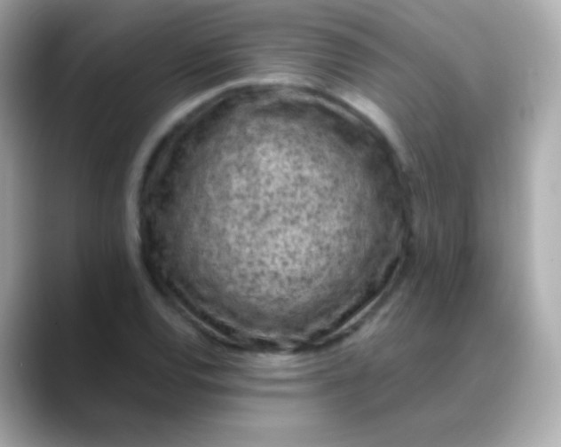 X0000088461120200706051319