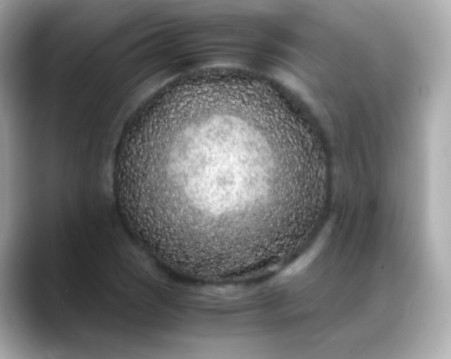 X0000088461121200706051319