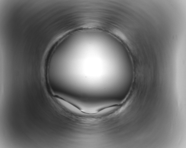 X0000088461122200706051319