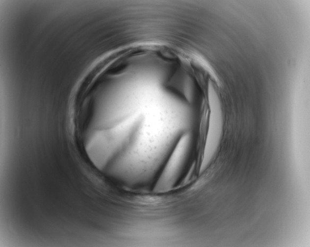 X0000088461124200706051319