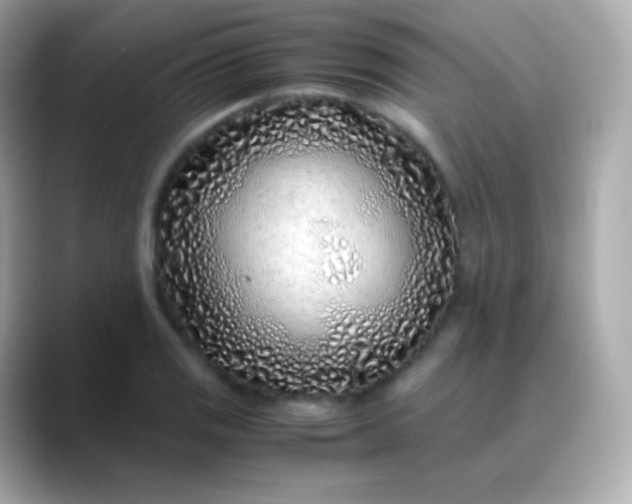 X0000088461125200706051319