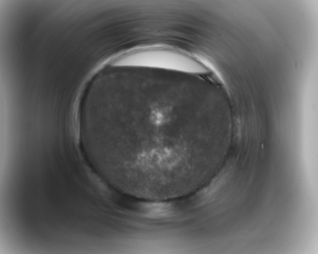 X0000088461127200706051319