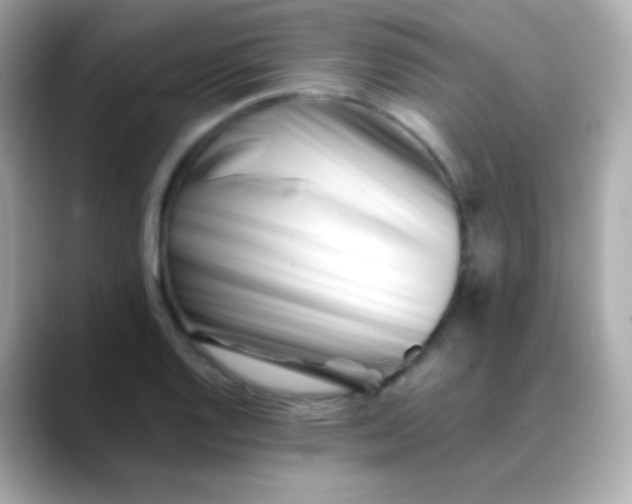 X0000088461128200706051319