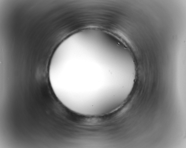 X0000088461129200706051319