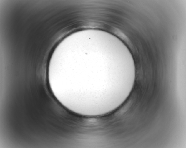 X0000088461130200706051319