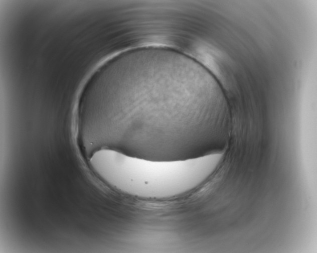 X0000088461132200706051319