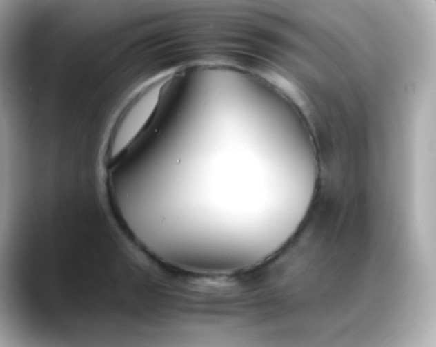 X0000088461133200706051319