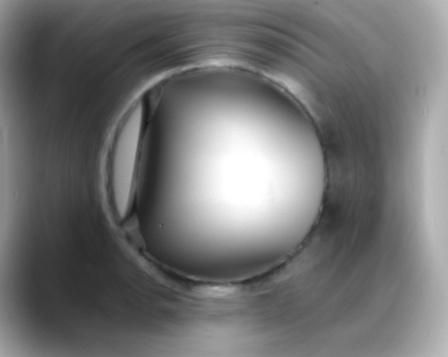 X0000088461134200706051319