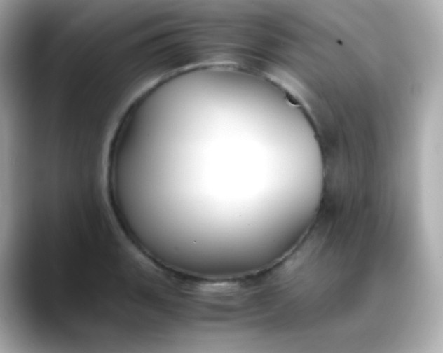 X0000088461135200706051319