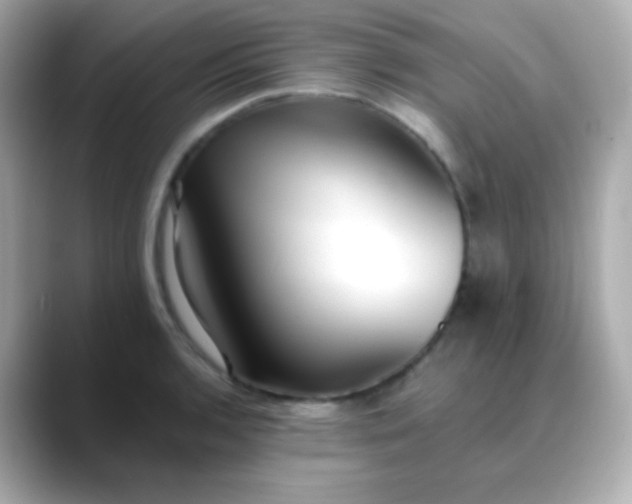 X0000088461136200706051319