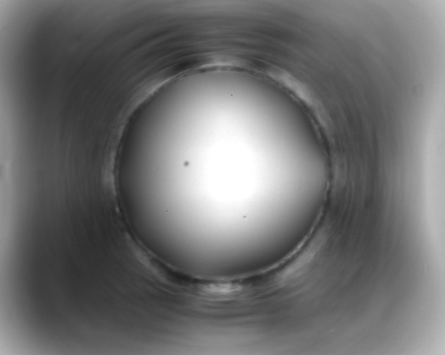 X0000088461137200706051319