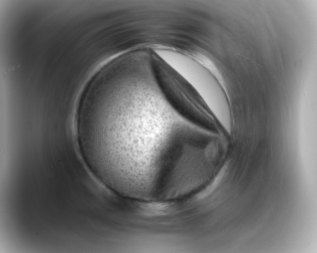 X0000088461141200706051319