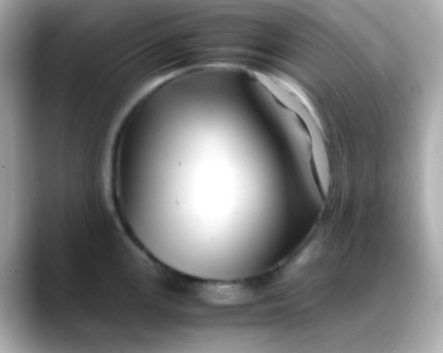 X0000088461147200706051319