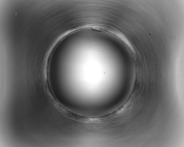 X0000088461148200706051319