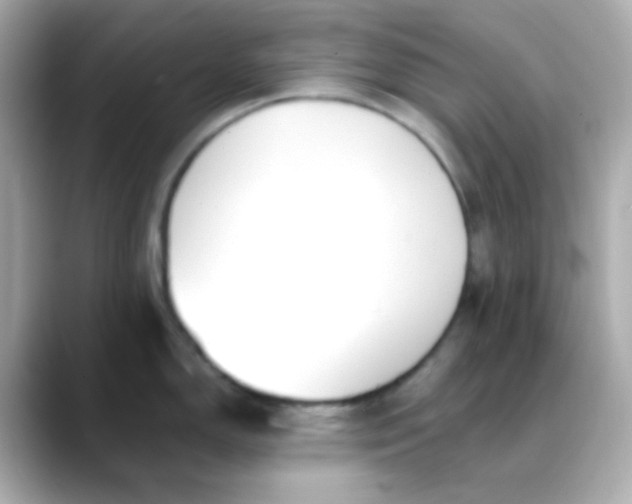 X0000088461150200706051320