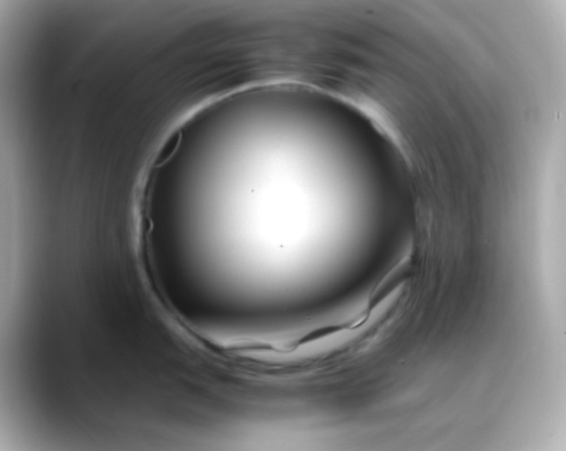 X0000088461151200706051320