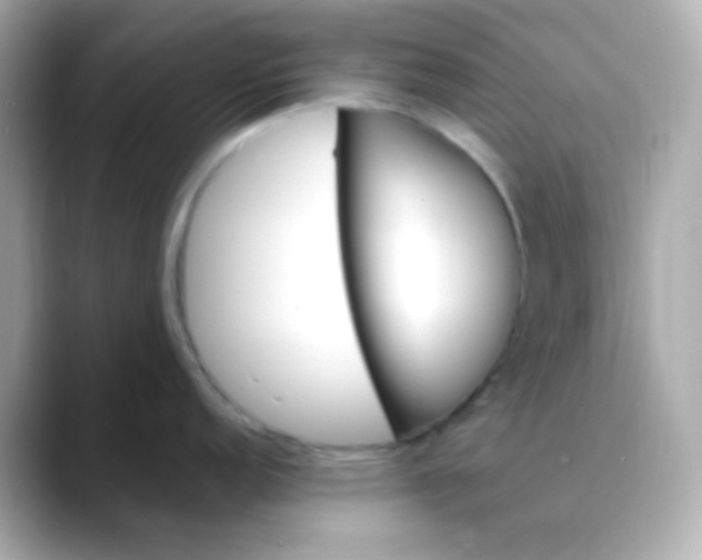 X0000088461152200706051320