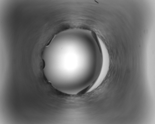 X0000088461153200706051319