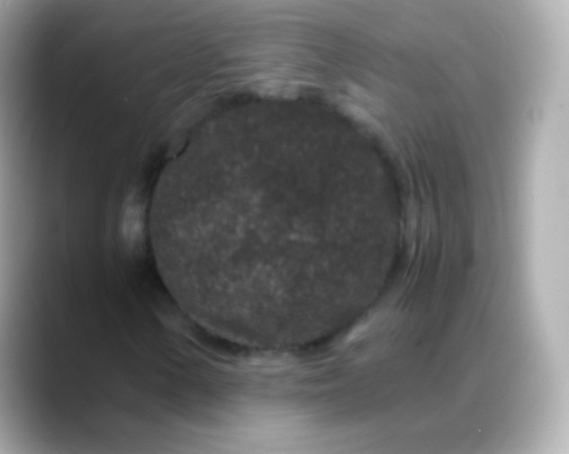 X0000088461154200706051319