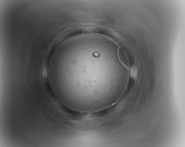 X0000088461155200706051319