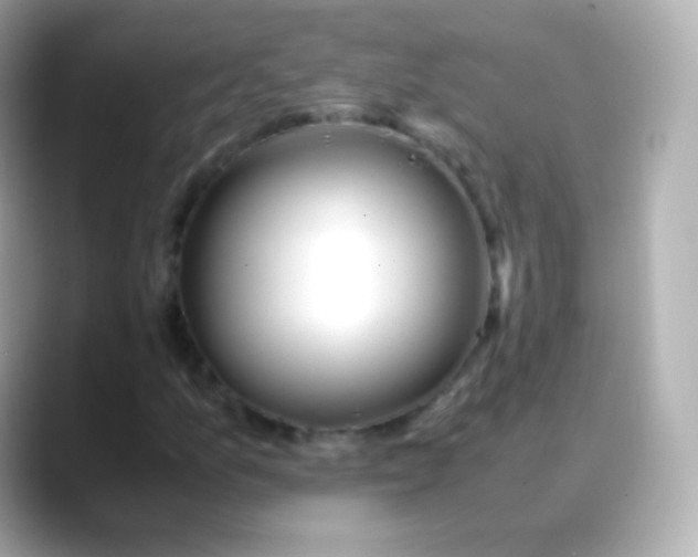 X0000088461157200706051319